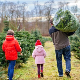 Happy family, man and two children with Christmas tree on fir tree cutting plantation. Preschool girl, kid boy and father choosing, cut and felling own xmas tree in forest, tradition in Germany.